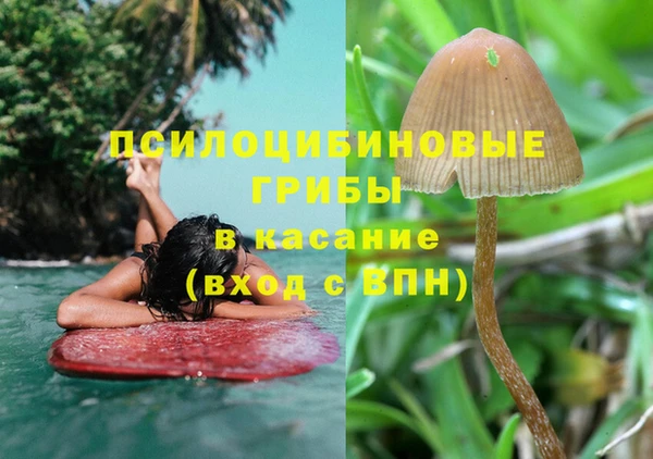 твердый Алексеевка