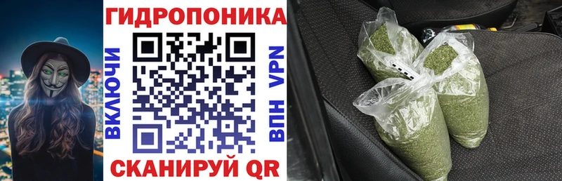 МАРИХУАНА планчик  Пыталово 
